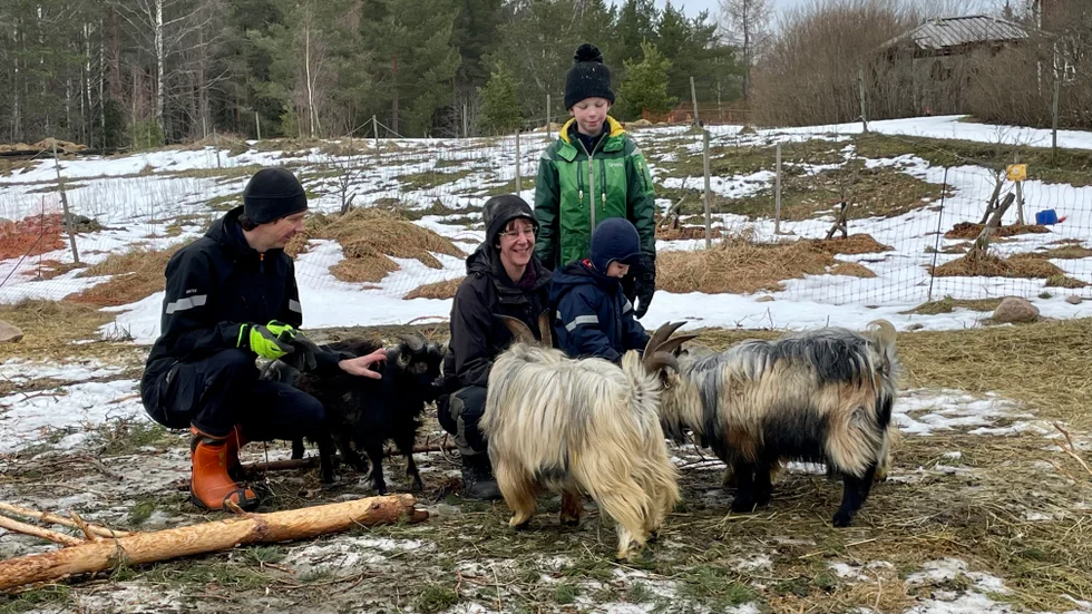 Familjen Rudholm väljer att vara tillsammans med varandra och djuren alla dagar i veckan.