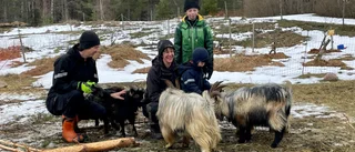 Såg annonsen – det blev starten på ett helt nytt liv