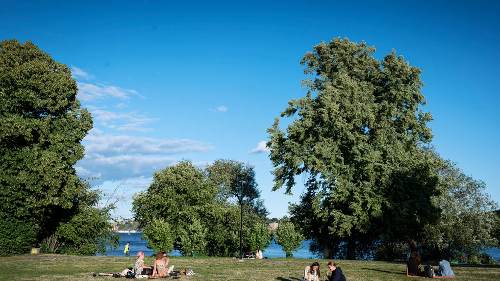 Nästa vecka kommer sommarvärmen tillbaka. Arkivbild.