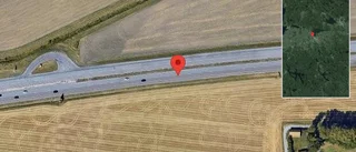 Rådjur på fel sida viltstängslet på E4