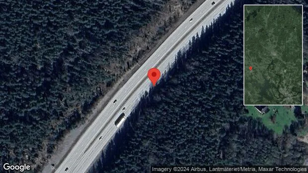 Rådjur på fel sida av viltstängslet på E18