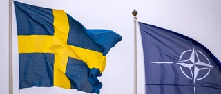 Stå upp för demokratin i Sverige