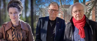 Förslaget från MP:s toppkandidat: En professionell musikkår