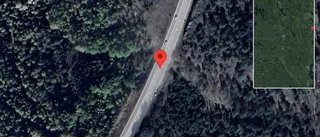 Varnar för rådjur på vägen på E22