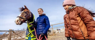 SVT:s storsatsning för unga hästälskare – spelades in i Alvik