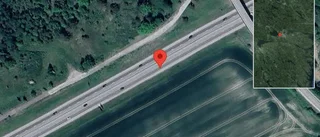 Personbil kolliderade med älg på E4