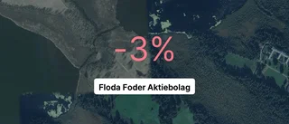 Här är siffrorna som visar hur det gick för Floda Foder Aktiebolag senaste året