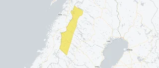 Gul varning för vind och snö på kalfjället