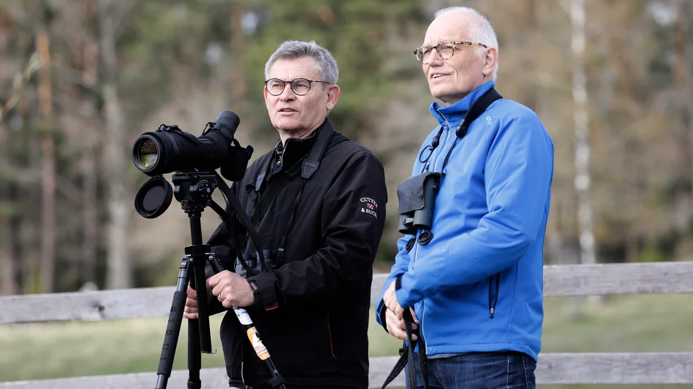 Stefan Westberg och Gunnar Ölfvingsson från Östergötlands ornitologiska förening hoppas att många vill vara med och inventera sångsvan.