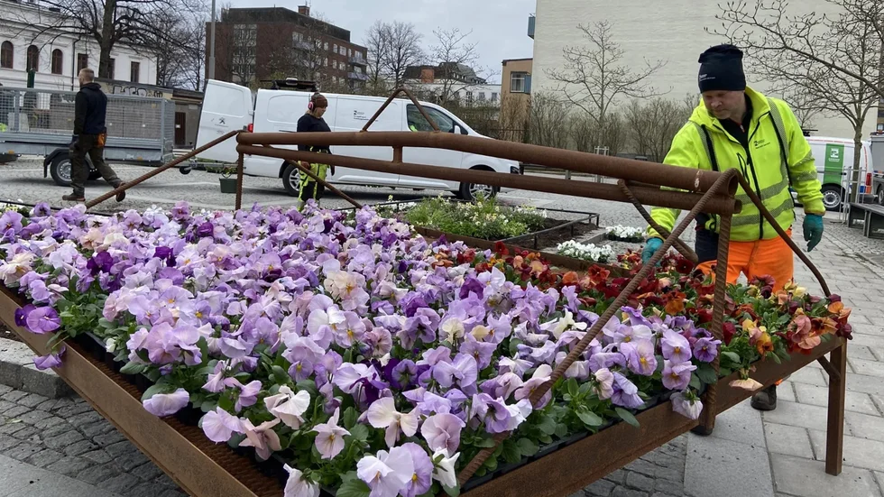 Nu blir Eskilstuna vårfint! Se massor av bilder nedan.