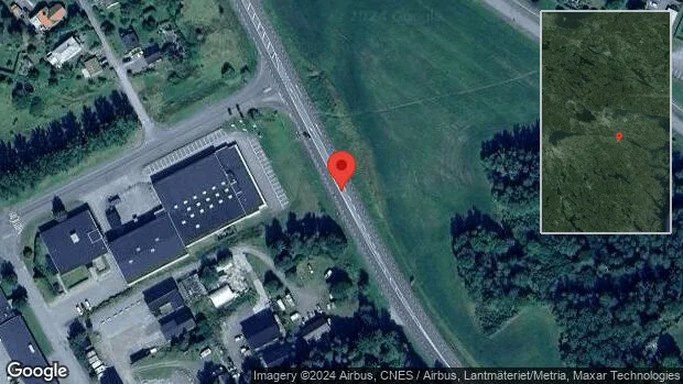 Älgar innanför viltstängslet på E22