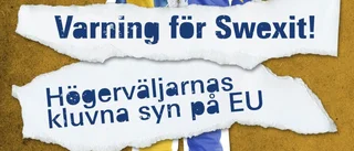 Finns mycket att lära om den osexiga unionen