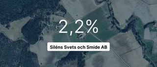 Pilarna pekar nedåt för Siléns Svets och Smide AB