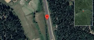 Träd över vägen skapar problem i trafiken på väg 799