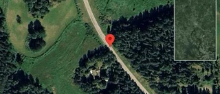 Nedfallna träd påverkar trafiken på väg 1029
