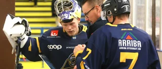 Gotlänningen värvas till hockeyallsvenska klubben