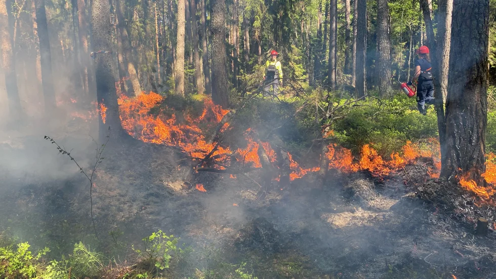 Det finns mycket personal och släckningsutrustning på plats vid eldningen.