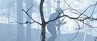 VARNINGEN: Mycket stor risk för skogsbrand