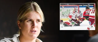Unika samarbetet: Nu går Luleå Hockey samman med nio klubbar