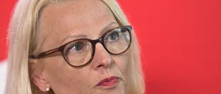 Fritzon kommer inte lyfta S i EU