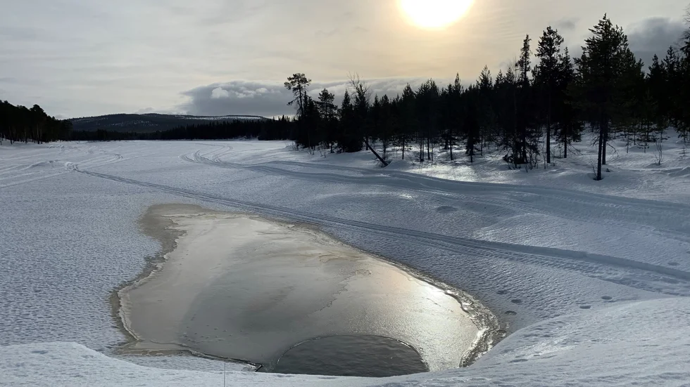 Dagens läsarbild.