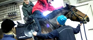 Han rider sig friskare – efter stroken