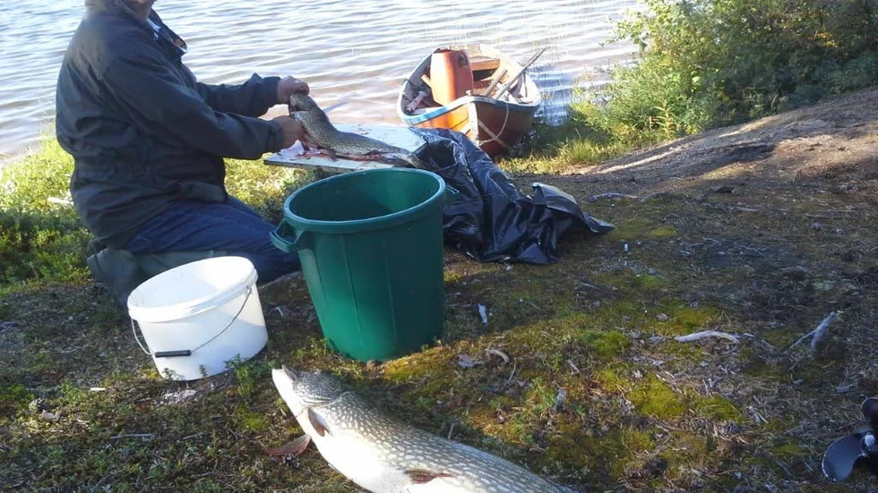 Vinnare i gäddklassen. Fiskeveteranen Stig Gräsvik, 79, i Keräntöjärvi, har fångat massor med gäddor i sitt liv, men den största fick han i sista etappen i årets Fiske-DM. Den vägde 16 kilo och gav honom segern i gäddklassen.