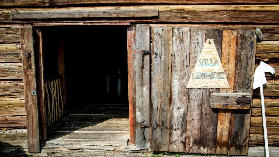 Ladugården. Ett 30-tals barn hjälpte till att jaga mjölktjuven under torsdagsförmiddagen.
