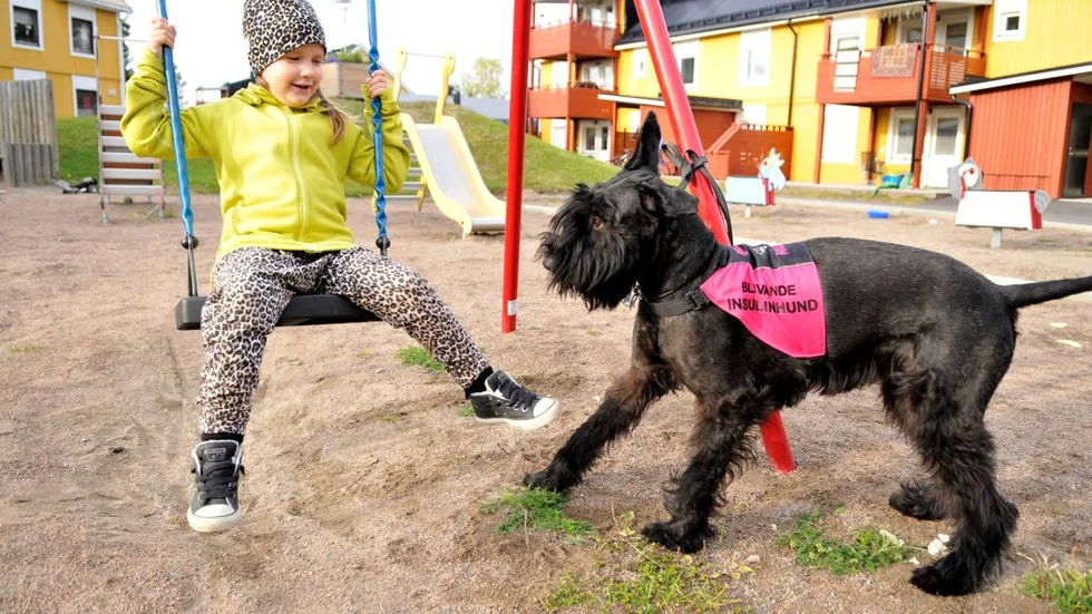 EGEN HUND. ”Hon är busig”, säger Wilda om sin blivande in­sulinhund, som passande nog heter Buza.