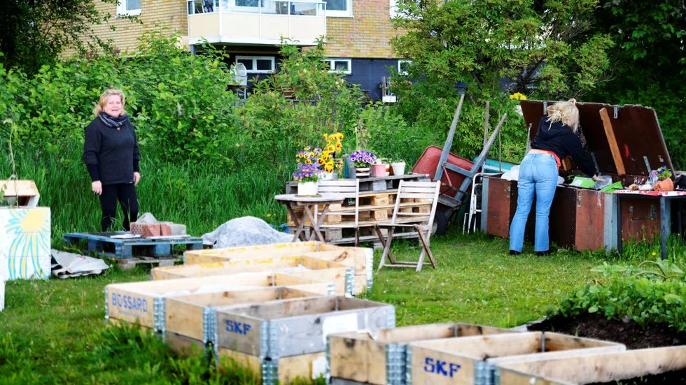 PROJEKT. ”Vi ska bygga ett humlebo” säger Anneli Näsvall entusiastiskt. Fyra år efter att hon la sitt medborgarförslag är odlingen verklighet.