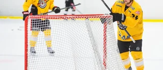 Brunkarkedjan som lyft Luleå Hockey