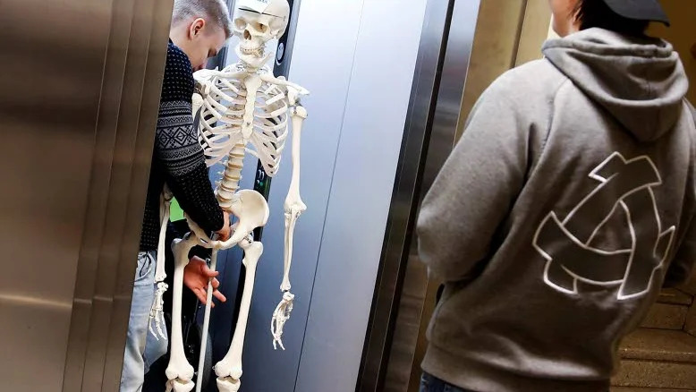 Dags att flytta. Skellettet ska vidare till gymnasiebyn.