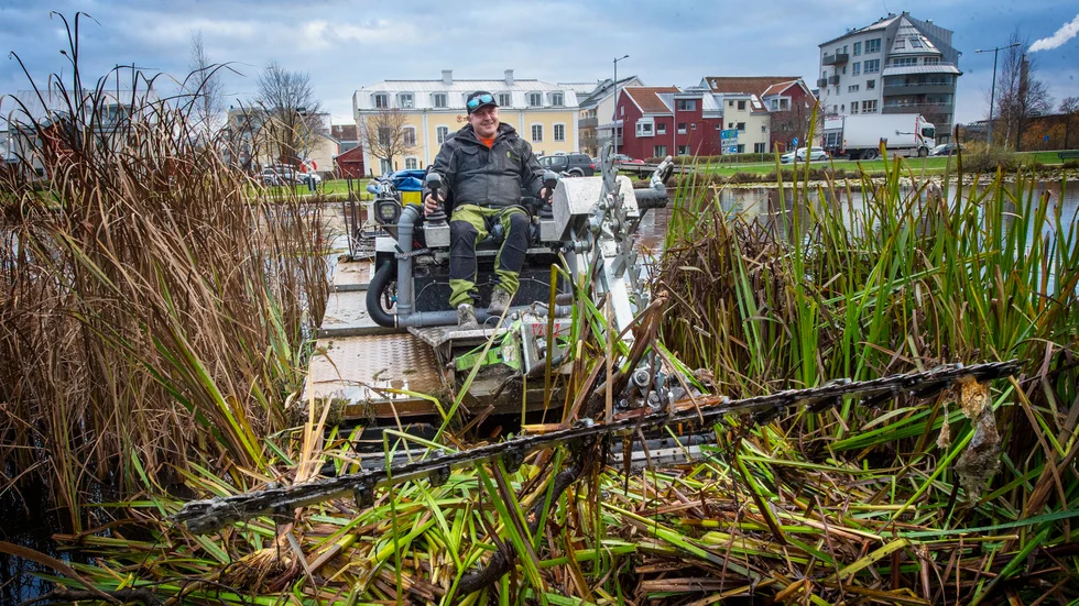 Kniven på Max Larssons tuxor är två meter lång. Han har även en som är fyra meter, den ska han använda när han klipper näckrosorna.
