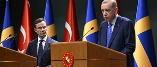 Kritik mot utpekande av turkisk exiljournalist