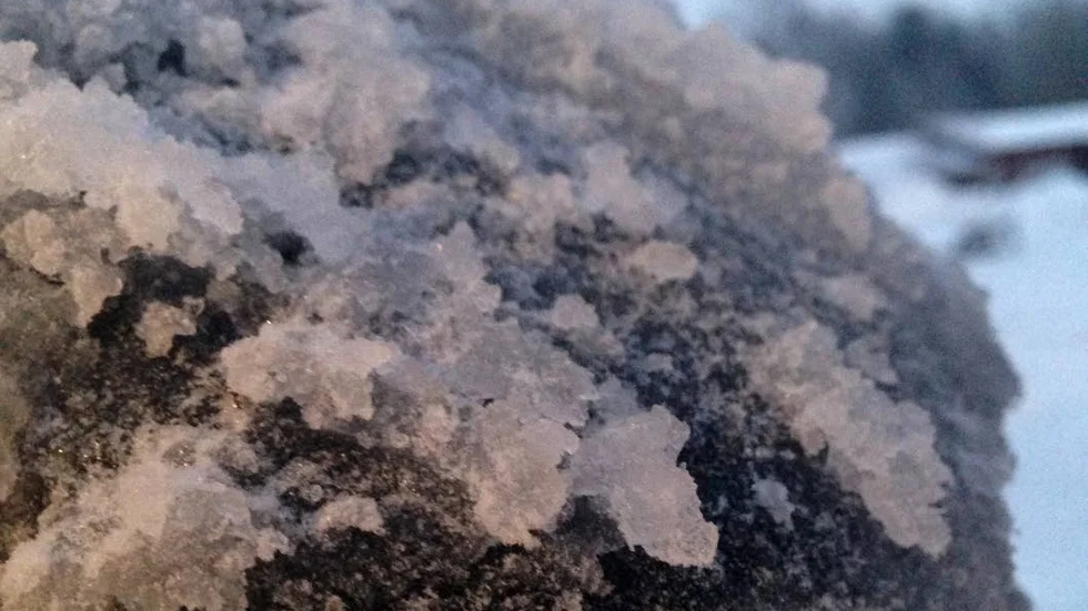 En del av årets snödjur som ska stå i Stadsparken. Vad kan det vara för något?