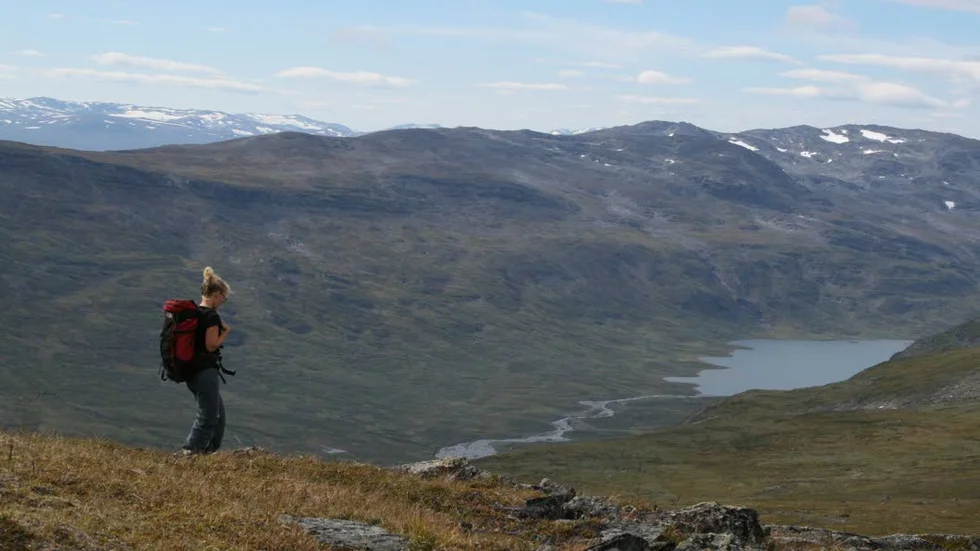 Företag ska kunna ordna tre resor per år med upp til 35 deltagare utan att söka tillstånd.