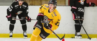 Luleåcentern förstärker Asplöven