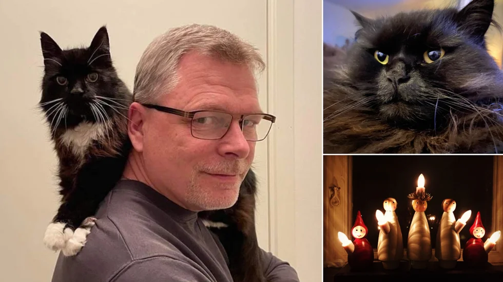 Till vänster katten Ossian - axeln han vilar på tillhör MVT:s nyhetschef Peter Calén. Till höger - katten Musse - matte är reporter Rita Furbring.