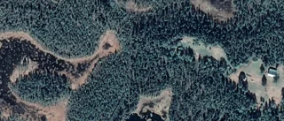 Tomten Kangos 16:2 i Pajala kommun har nu ny ägare
