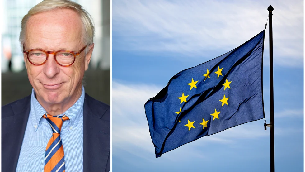 Gunnar Hökmark vill se en snabb behandling av Ukrainas EU-medlemskap.