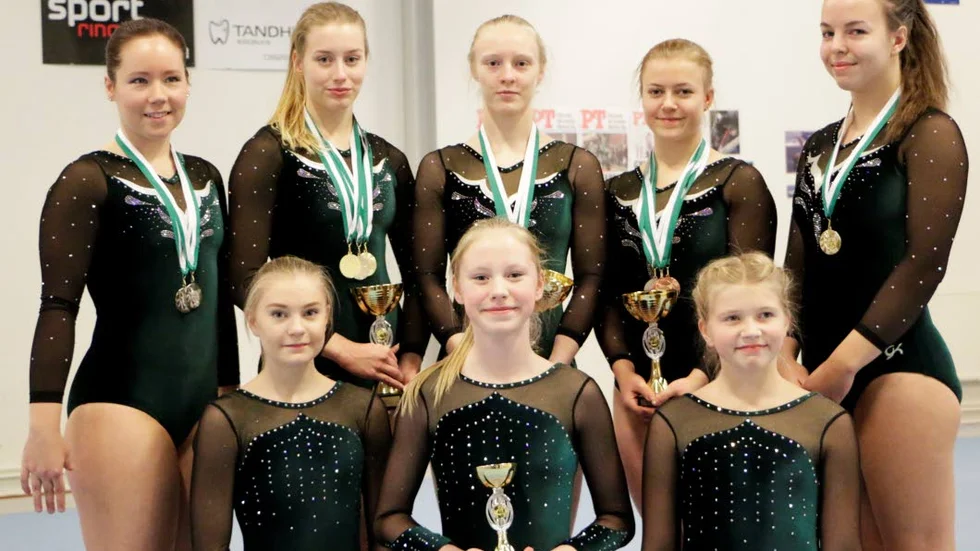 SUCCÈ. Älvsbyn har många duktiga gymnaster, som gjorde succé i helgen. Övre raden från vänster: Anna Nilsson, Jenny Knuts, Linnea Åberg, Kajsa Söderberg.
Nere raden: Frida Engman, Embla Lundström, Elsa Lundberg.