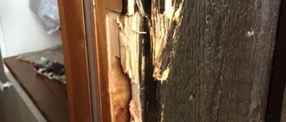 Fjällbanditen försvann spårlöst