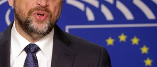 Merkel söker partner
