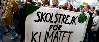 Vill någon egentligen göra något åt klimathotet?