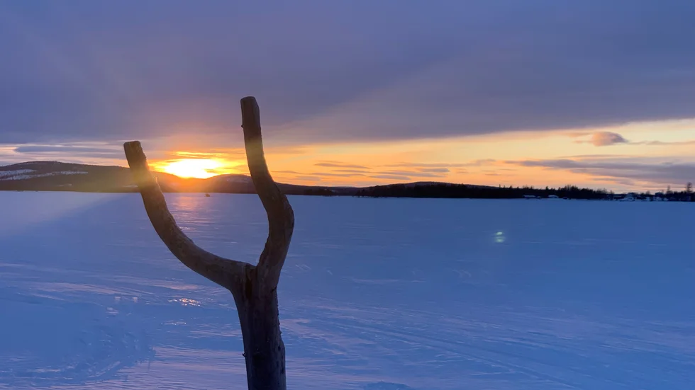 Dagens läsarbild.