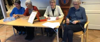 Intressanta föreläsningar vid medlemsmöte