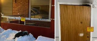 En man och en kvinna döda i lägenhetsbrand i Umeå – stort pådrag under natten • ”Rökdykare tog sig in”