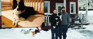 Hunden Niva räddade liv i elddramat