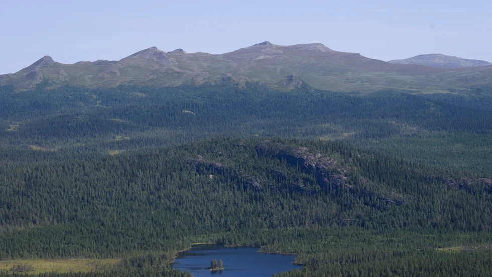 Fjällsjö och skog i Härjedalen. Arkivbild.