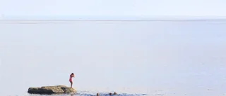 Gotlands Fotoklubb höll årsmöte